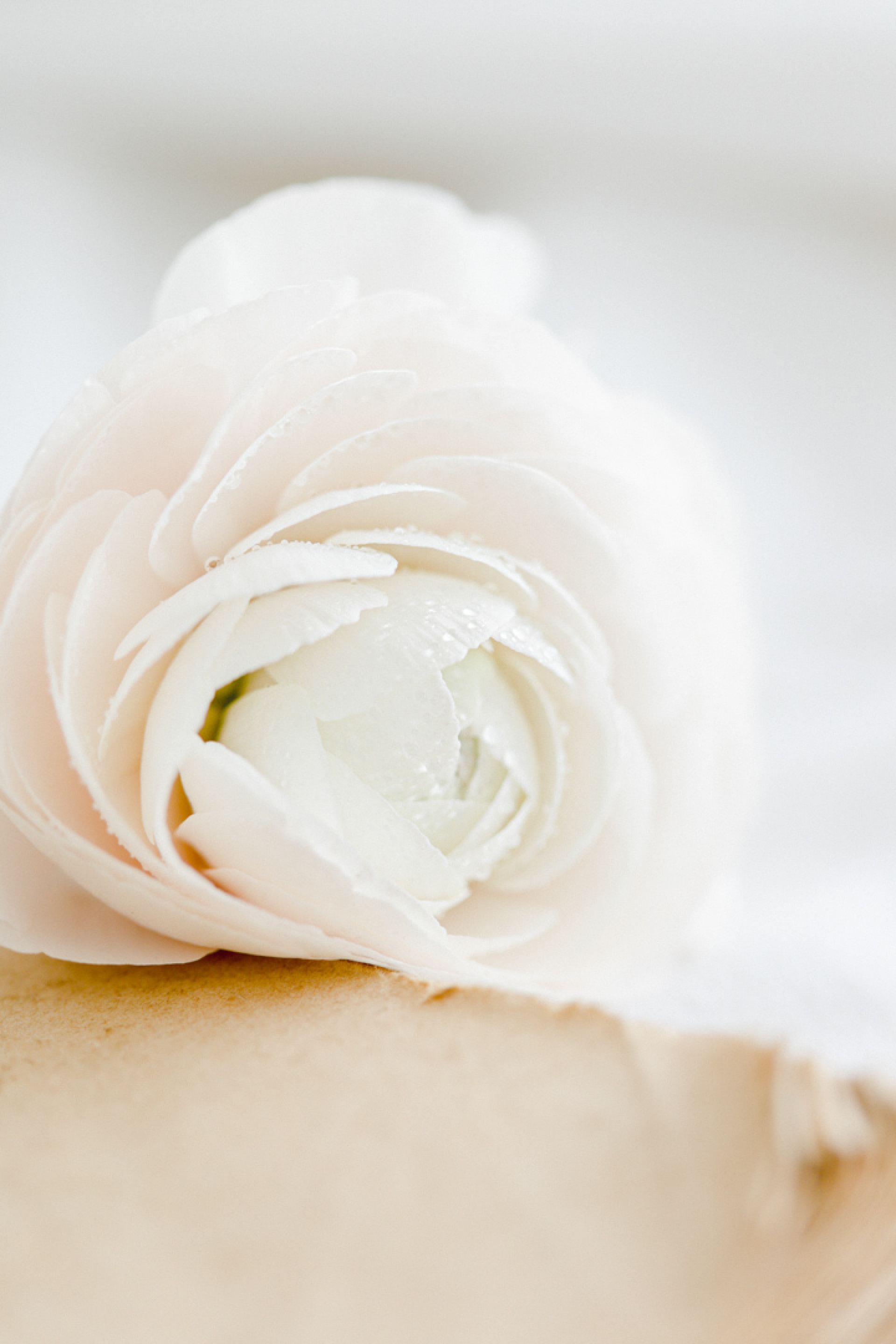 Inspiration Printemps